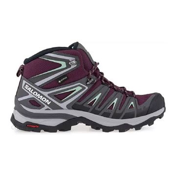 Picture of SALOMON X ULTRA PIONEER MID GTX W